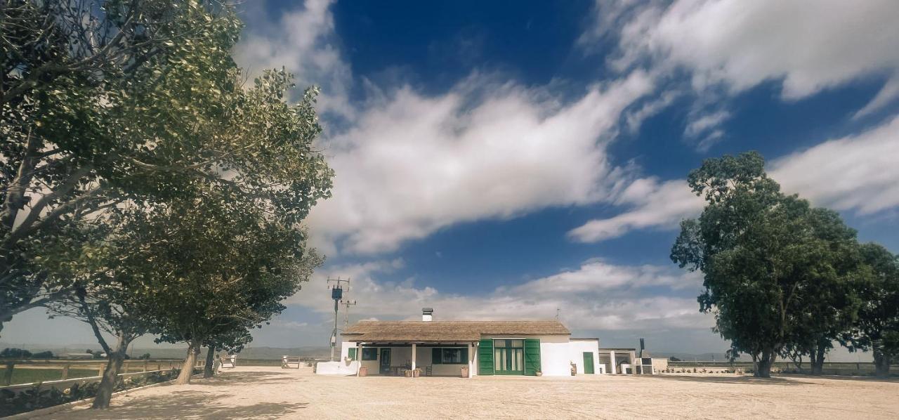 Masia Blanca Deltebre Buitenkant foto