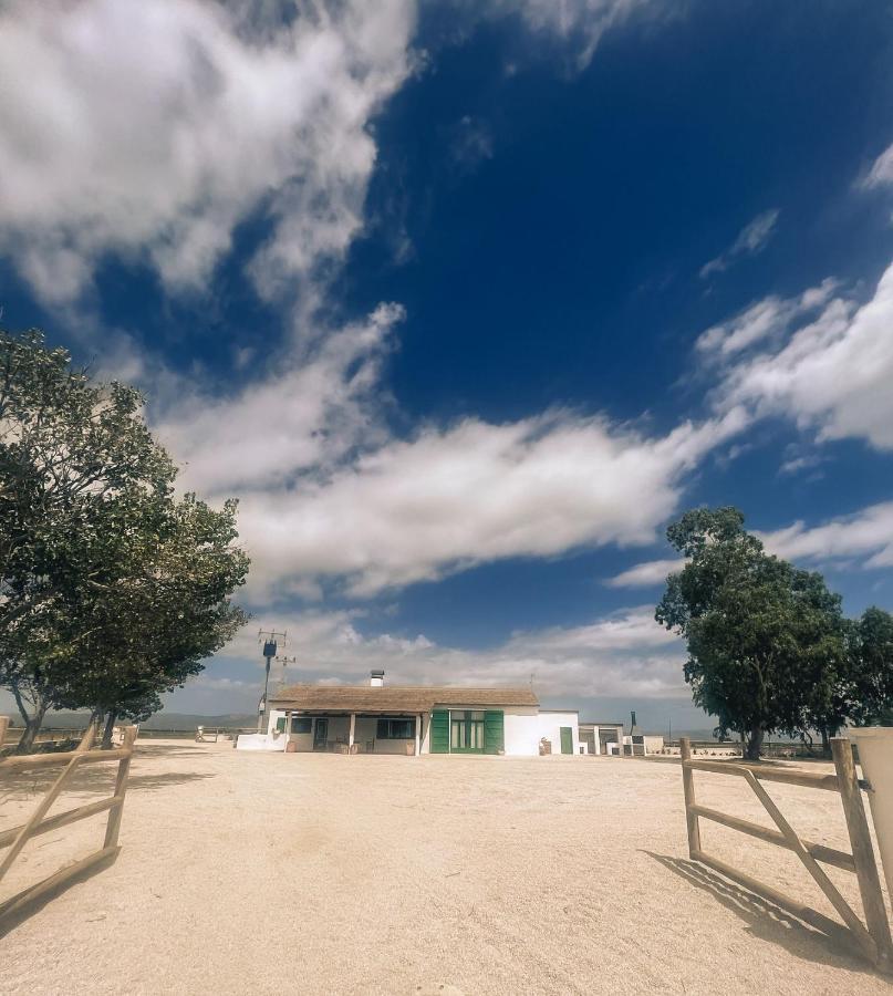 Masia Blanca Deltebre Buitenkant foto
