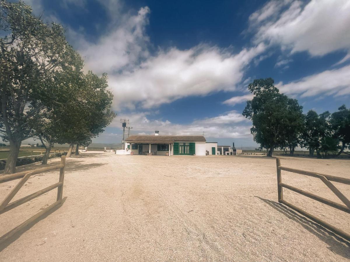 Masia Blanca Deltebre Buitenkant foto